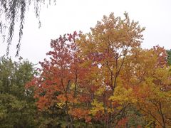 -云龙湖旅游景区