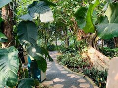-南山植物园