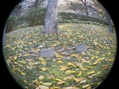 -石景山区图书馆(八角南路)