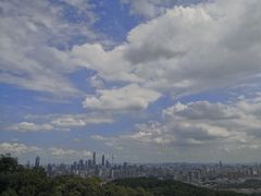 -陈添記·祖傳爽鱼皮·西关老字号(广州首店)