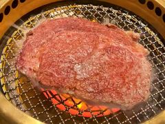 -老乾杯(深圳湾万象城店)