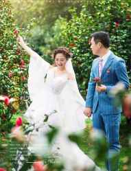 -青禾蒙娜丽莎婚纱摄影(武汉总店)