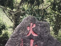 -海口火山口国家地质公园
