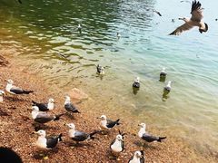 -海驴岛(荣成市)