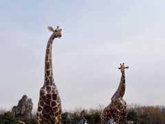 -北京野生动物园