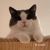 圣诞节的表情包福福[加油]