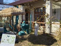 -Jo's Garden