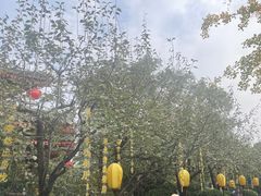 -华清宫景区