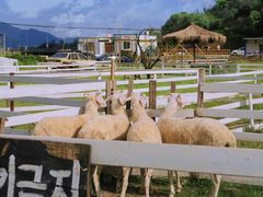 -溪口-滕头旅游景区