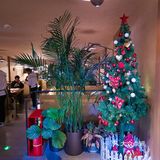圣诞约会当然要在亮马河畔才浪漫啊🎄