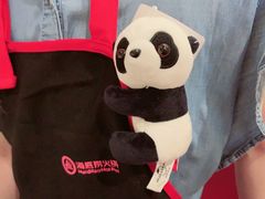 -海底捞大排档火锅(打浦路店)