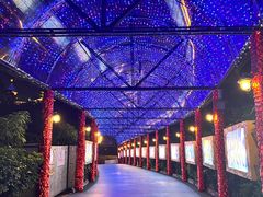 -广州长隆国际大马戏