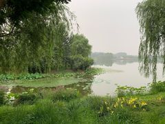 -东郊湿地公园