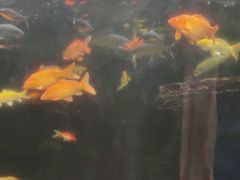 -洛阳龙门海洋馆