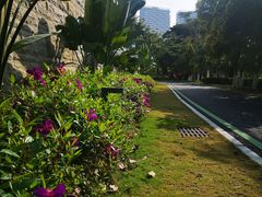 -溪岸路花鸟市场