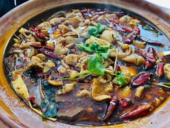 肥肠牛蛙砂锅-马头巷·食景园(苏州总店)