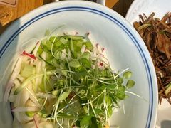 -壹零捌道·北京烤鸭(车公庄店)