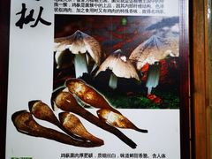 -山大王菌莊