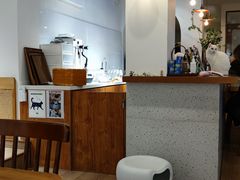 -有猫主题·治愈系猫咖(曾厝垵店)