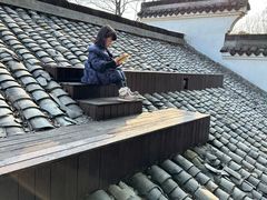 -日出青木