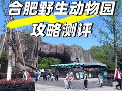 -合肥野生动物园