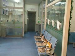 -瑞派宠物医院·内科·软组织·绝育中心(沈阳八纬路分院)