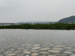 -东湖落雁景区