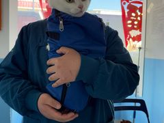 -瑞派福兴宠物医院犬猫全科·骨科·中西医结合(河东店)