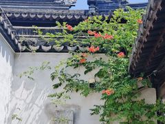 -苏州文庙(姑苏区)