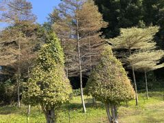 -厦门悦华酒店