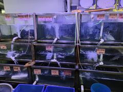 -八仔大富楼·河鲜(西江店)