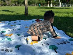 -万绿园