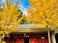 -少华山国家森林公园