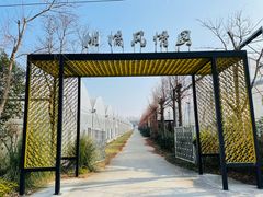 -上海长兴岛郊野公园