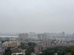 -福道