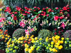 -陶老爷城一锅羊蝎子(西四路店)