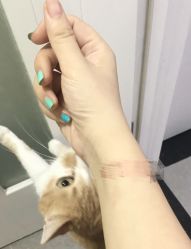 夏日跳色-染指坊日式美甲美睫设计中心