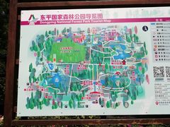 -东平国家森林公园