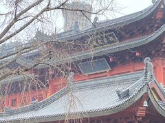 -上海东林寺(金山区)