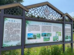 -向葡萄庄园