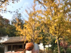 -采石矶景区