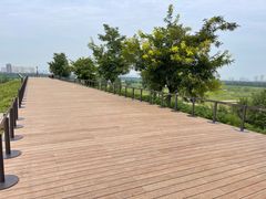 -汉长安城未央宫国家考古遗址公园