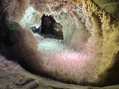 -湖南省地质博物馆