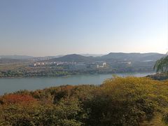 -羊山湖公园