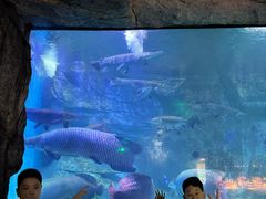 -泉城欧乐堡海洋极地世界