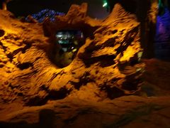 -乐山乌木文化博览苑