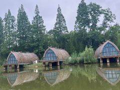 -黄海国家森林公园