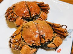 -呼吸森林·生态农庄农家乐私房菜