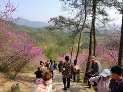 -天台山赤城山景区