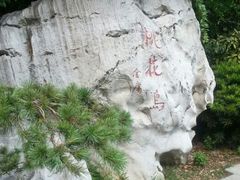 -金鸡湖桃花岛